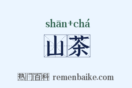 山茶是什么意思的图片